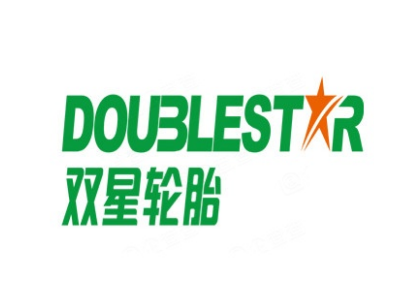 双星集团有限公司