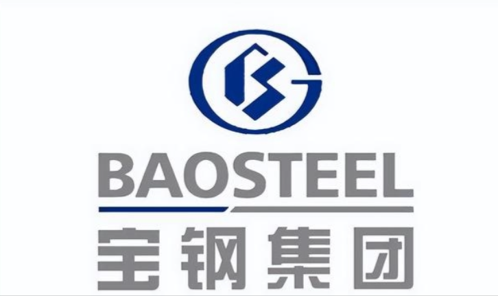 宝钢集团（上海）置业有限公司